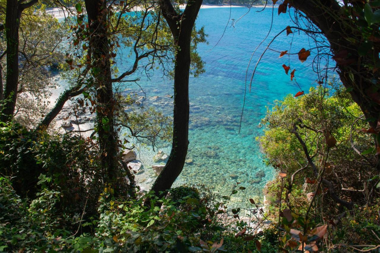 Pelion Bnb Luxury Homes Damouchari Eksteriør bilde