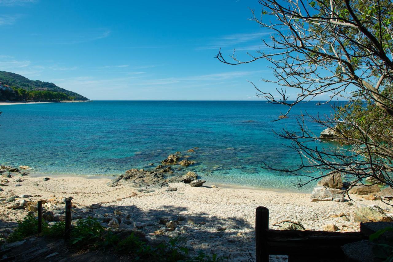 Pelion Bnb Luxury Homes Damouchari Eksteriør bilde